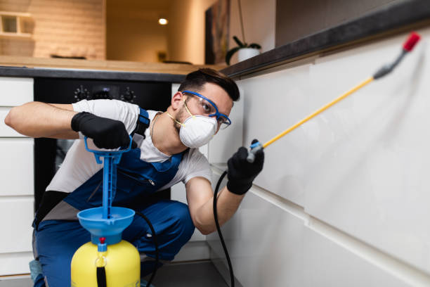 Best Best Pest Control Companies  in Bayport, NY