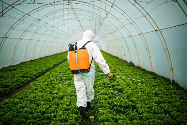 Best Residential Pest Control  in Bayport, NY