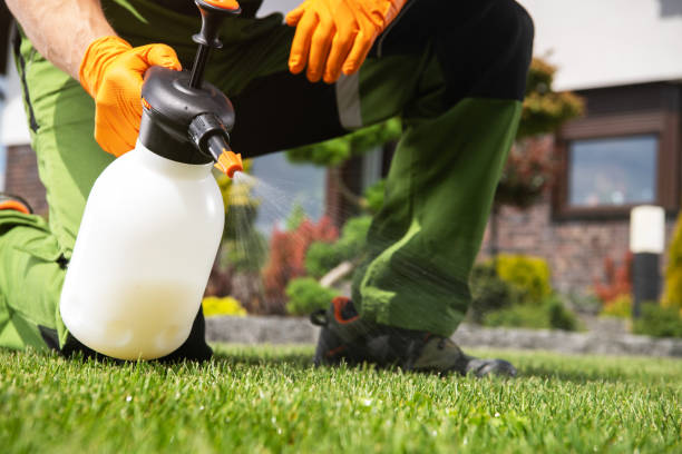 Best Local Pest Control Services  in Bayport, NY