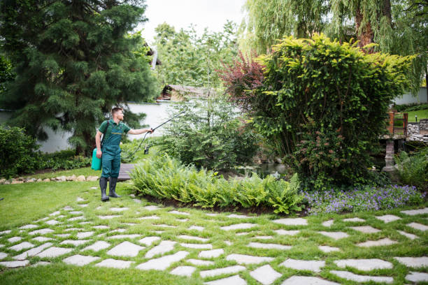 Best Pest Removal Services  in Bayport, NY