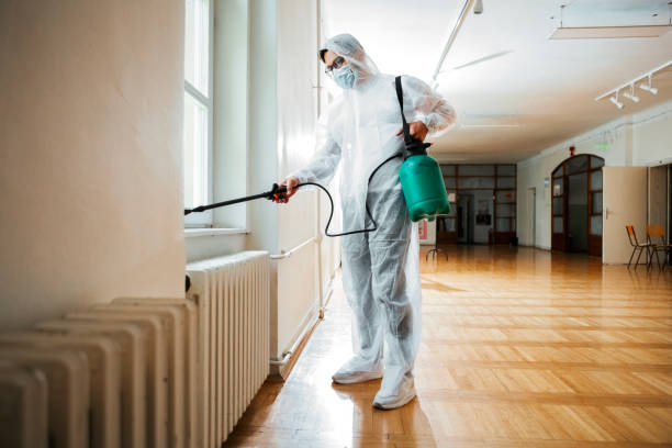 Best Flea Control Services  in Bayport, NY
