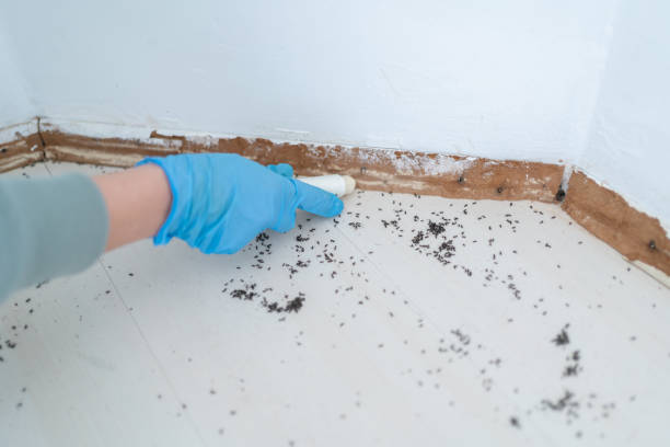 Best Commercial Pest Control Services  in Bayport, NY