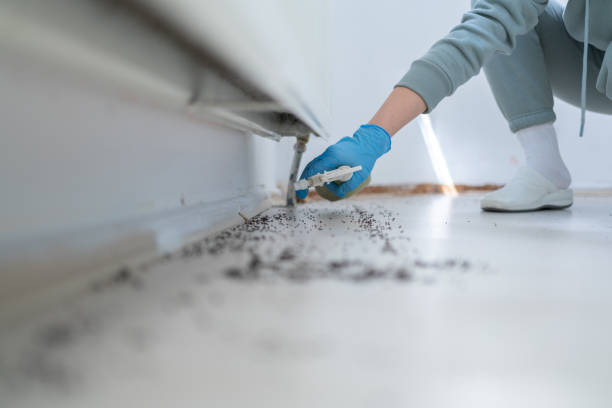 Best Best Pest Control Companies  in Bayport, NY